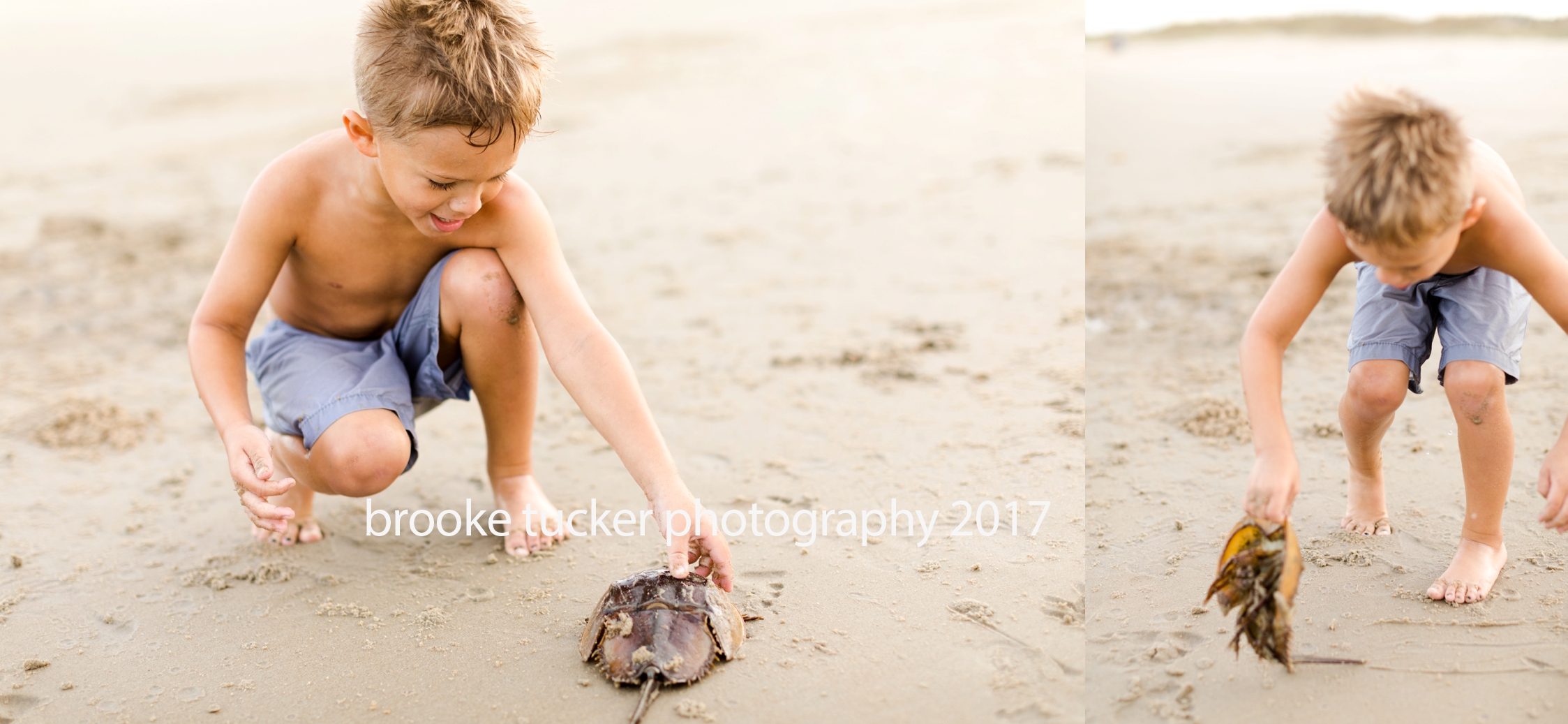 beautiful back bay golden hour children's photography by brooke tucker photographer