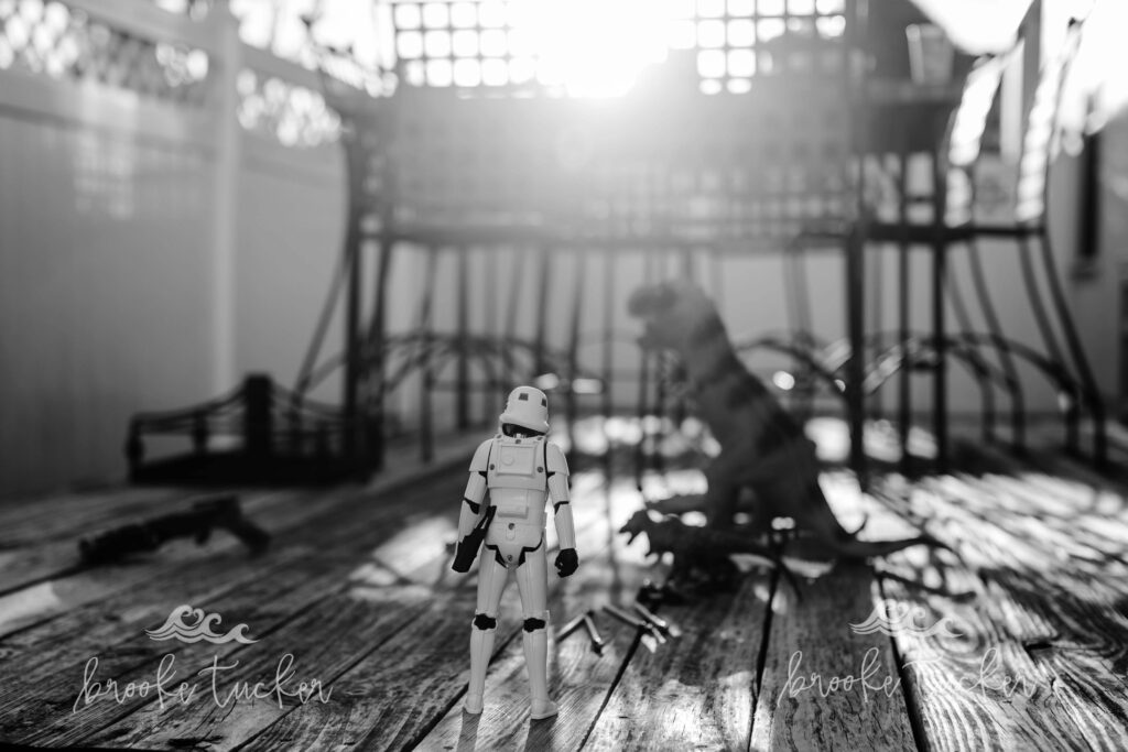 candid story telling in photography storm trooper vs. t-rex brooke tucker photography