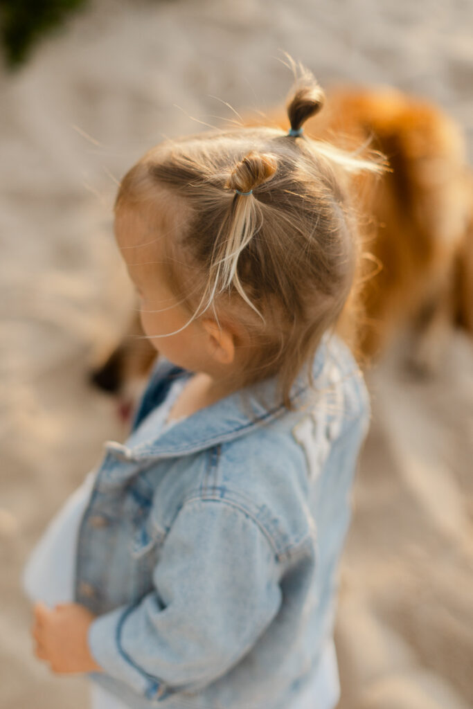 A soft-focus-close-up of a toddler's wind-swept pigtails as she explores the sand in her denim jacket